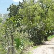 Villa de Leyva Colombia