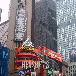 Pictures of New York City United States Diary Experience