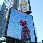 Pictures of New York City United States Travel Photo
