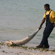 Pongwe Beach Resort Zanzibar Tanzania Travel Adventure