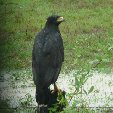 Los Llanos Venezuela Tours Barinas Vacation Photo