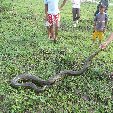 Los Llanos Venezuela Tours Barinas Review Gallery