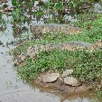 Los Llanos Venezuela Tours Barinas Holiday Photos