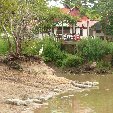 Los Llanos Venezuela Tours Barinas Trip Pictures