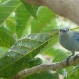Los Llanos Venezuela Tours Barinas Vacation Guide