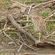 Los Llanos Venezuela Tours Barinas Travel Tips
