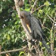 Los Llanos Venezuela Tours Barinas Holiday Adventure