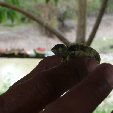 Los Llanos Venezuela Tours Barinas Holiday Review