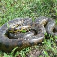 Los Llanos Venezuela Tours Barinas Trip Guide