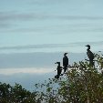 Los Llanos Venezuela Tours Barinas Trip Photographs