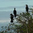 Los Llanos Venezuela Tours Barinas Diary Photography