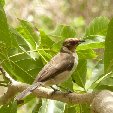 Los Llanos Venezuela Tours Barinas Trip Vacation