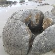 Otago Peninsula Dunedin New Zealand Story Sharing