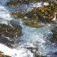 Otago Peninsula Dunedin New Zealand Album Pictures