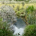 Te Anau New Zealand