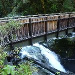 Milford Sound New Zealand Diary Photography