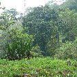 Ciudad Perdida trek Colombia Travel Experience