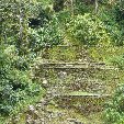 Ciudad Perdida trek Colombia Trip Sharing