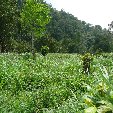 Ciudad Perdida trek Colombia Picture gallery