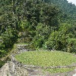 Ciudad Perdida trek Colombia Review Sharing