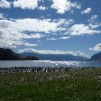  Lake Hawea New Zealand Diary Experience