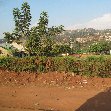   Kampala Uganda Vacation Photo