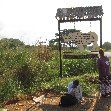 Ziwa Rhino Sanctuary Uganda Nakasongola Pictures