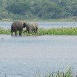 Uganda tours and safaris Masindi Vacation Experience