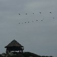 Tayrona Colombia