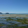 Abel Tasman tours New Zealand Collingwood Review Abel Tasman tours New Zealand