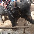   Krabi Thailand Photo Gallery