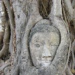 Ayutthaya tour Thailand Travel Album