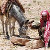 Petra and Wadi Rum tours Jordan Blog Review