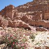 Petra and Wadi Rum tours Jordan Trip Photographs