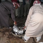 Petra and Wadi Rum tours Jordan Travel