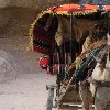 Petra and Wadi Rum tours Jordan Photography