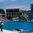 Sea World tickets San Diego United States Travel Package