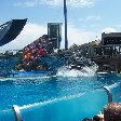 Sea World tickets San Diego United States Diary Experience