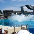 Sea World tickets San Diego United States Vacation Information