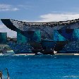 Sea World tickets San Diego United States Review Sharing