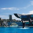 Sea World tickets San Diego United States Album Photographs