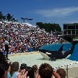 Sea World tickets San Diego United States Diary Sharing