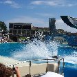 Sea World tickets San Diego United States Travel Photo