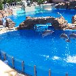 Sea World tickets San Diego United States Blog Review