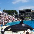 Sea World tickets San Diego United States Vacation Picture