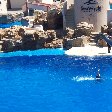 Sea World tickets San Diego United States Diary Tips