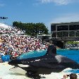 Sea World tickets San Diego United States Travel Picture