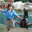 Travel to Singapore Photo