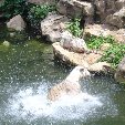 Travel to Singapore Trip Experience