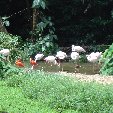 Travel to Singapore Information